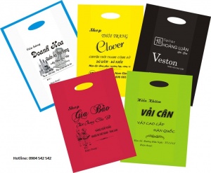 in túi đựng giày dép